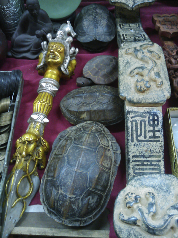 Turtle shells are popular - meant to bring good luck, I believe